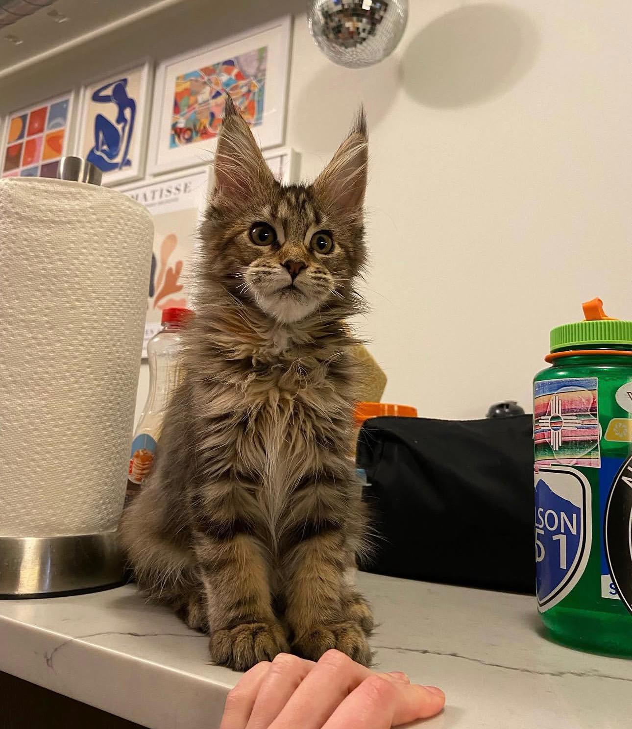 FRANKLIN